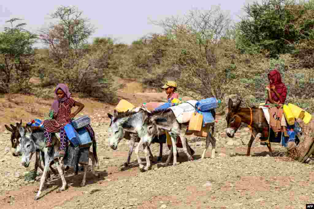 Children ride donkeys carrying jerrycans to fill up water from a cistern amid a water shortage and soaring temperatures, at a makeshift camp for people who fled fighting between Yemen&#39;s Huthi rebels and the Saudi-backed government forces, in the village of Hays in Yemen&#39;s western province of Hodeida.&nbsp;