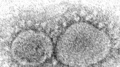Quiz - How to Protect Against Increased Viral Spread in Winter