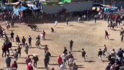 Պերուում ցլամարտի փառատոնի ժամանակ տուժել է 11 մարդ_1.mp4