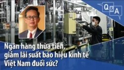 Ngân hàng thừa tiền, giảm lãi suất báo hiện kinh tế Việt Nam đuối sức?