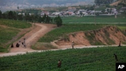 Sjevernokorejski farmeri obrađuju polje izvan Pjongjanga, 14. juna 2012. Izvještaj UN-a objavljen 16. jula 2024. optužuje Demokratsku Narodnu Republiku Koreju za široko rasprostranjen prisilni rad u raznim sektorima, uključujući poljoprivredu.