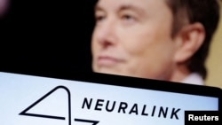The Neuralink logo and Elon Musk are seen in this illustration taken, December 19, 2022. (REUTERS/Dado Ruvic/Illustration)
