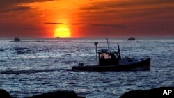 Lobster fishermen work at sunrise, Sept. 8, 2022, off Kennebunkport, Maine. The waters off New England logged the second-warmest year in their recorded history in 2022, according to researchers. 