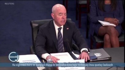 Senate-ka Mareykanka oo ku hagoogtay Mayorkas 