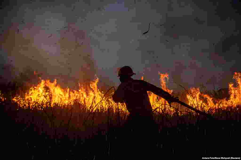 A firefighter extinguishes a wildfire in North Indralaya, Ogan Ilir regency, South Sumatra province, Indonesia, Sept. 13, 2023.