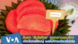 ‘ส้มโอไทย’ ลุยตลาดอเมริกา เปิดโจทย์ใหญ่ผลไม้ไทยต้องไปต่อ