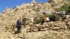خشکسالی ۹۵ درصد مراتع استان فارس را تخریب کرد؛ خسارت «هزار میلیارد تومانی» به عشایر