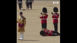英国皇家卫兵排练时晕倒 