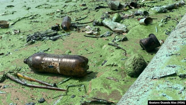 En Fotos: Contaminación en el Lago de Maracaibo