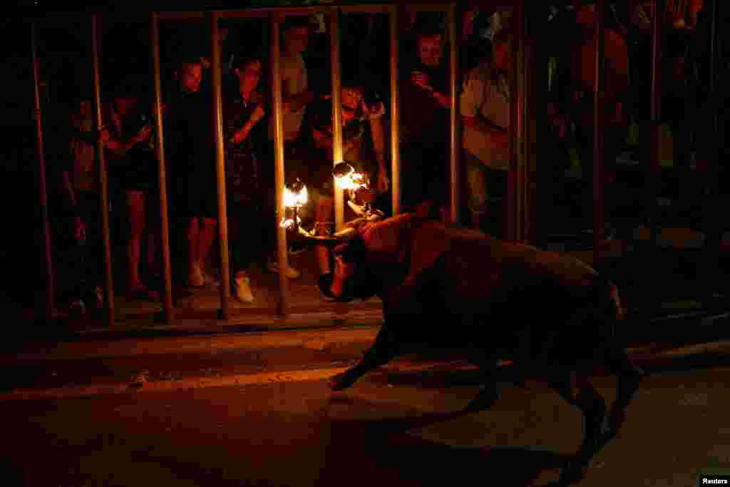 Revelers react to a bull with flaming horns during a festival known as &quot;bou&nbsp;embolat&quot; in Carpesa, northern Valencia, Spain. The festival which was banned in 2016, has been reinstated by the new regional government.
