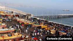 Actualmente trabaja como pescador en la Caleta Portales, una zona de pescadores que está cerca del puerto de Valparaíso, en Chile.