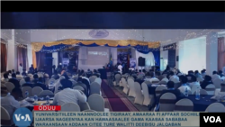 Ijaarsa Nageenyaarratti Dhaabbatoonni Barnoota Sadarkaa Ol’aanaa Naannoolee Tigiraay, Amaaraa fi Affaar Sochii Jalqaban