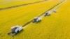 Despite Bumper Grain Harvest, China Faces Challenge of Food Security