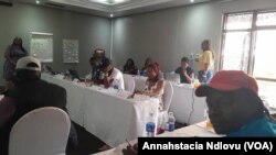 MISA Zimbabwe Bulawayo workshop