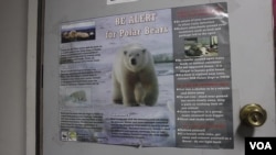 โปสเตอร์เตือนประชาชนให้ระวังตัวจากหมีขั้วโลก ในอลาสกา