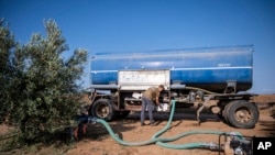 Dimitris Papadakis Jr, turns the valve on a container that is connected to a small generator, to water an olive grove in the village of Nea Silata at Halkidiki peninsula, northern Greece, Aug. 19, 2024. 