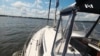 Nature | Sailing on the Chesapeake Bay