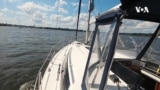 Nature | Sailing on the Chesapeake Bay