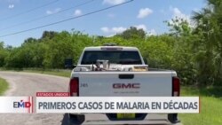 Alerta por casos de malaria en Florida y Texas 