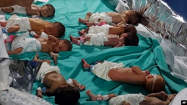 This photo released by Dr. Marawan Abu Saada shows prematurely born Palestinian babies in Al-Shifa Hospital in Gaza City, Nov. 12, 2023. (Dr. Marawan Abu Saada via AP)