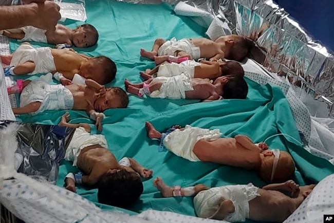 This photo released by Dr. Marawan Abu Saada shows prematurely born Palestinian babies in Shifa Hospital in Gaza City, Nov. 12, 2023. (Dr. Marawan Abu Saada via AP)