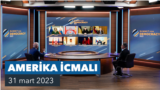 Amerika İcmalı 