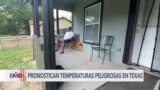 Calor excesivo en Texas preocupa a las autoridades 