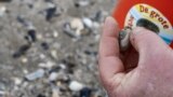 A volunteer holds a shell during a count in Middelkerke, Belgium, March 25, 2023.