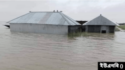 পানিবন্দী হয়ে আছে গাইবান্ধা সদর উপজেলাসহ ফুলছড়ি, সাঘাটা ও সুন্দরগঞ্জ উপজেলার ২৯টি ইউনিয়নের ৬৭ হাজার ৭২৯ পরিবার।