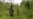 M23 rebels take DR Congo-Uganda border town