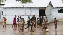 Murisanga