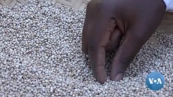 Empresária queniana produz snacks a partir de cereais autóctones