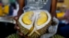 Durian Segar Malaysia Masuk China Melalui Perjanjian Dagang Baru