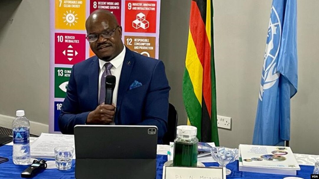 FILE - Zimbabwean spokesman Nick Mangwana, Mutare, Zimbabwe. (Columbus Mavhunga/VOA)