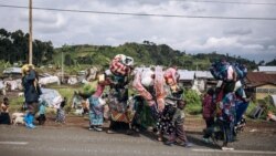 Sango ya Mokili Lelo: Medecin Sans Frontieres (MSF) ebwaki mbela lelo mpo na bobateli ba civili na monyele ya Ekolo Congo Democratiki. 