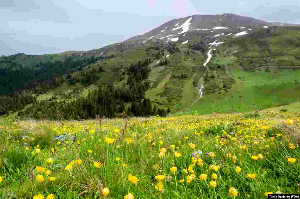 Shar Mountain - nature beauty and waste / Шар Планина - природна уникатност нарушена со отпад 