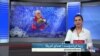 نظرات مخاطبان ویژه برنامه «جنگ اسرائیل و حماس: آتش‌بس و گروگان‌ها» درباره آتش‌بس موقت
