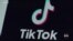 Trump, Biden woo voters on TikTok. Will it make a difference?