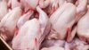 ناکامی «قرارگاه تخصصی مرغ» رئیسی؛ قیمت مرغ در تهران از ۱۱۰ هزار تومان گذشت