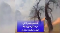 شعله‌ور شدن آتش در جنگل‌های بلوط چهارمحال و بختیاری
