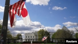 為了迎接日本首相岸田文雄訪美，華盛頓白宮附近的街頭已掛起美日兩國旗幟。 （2024年4月5日）