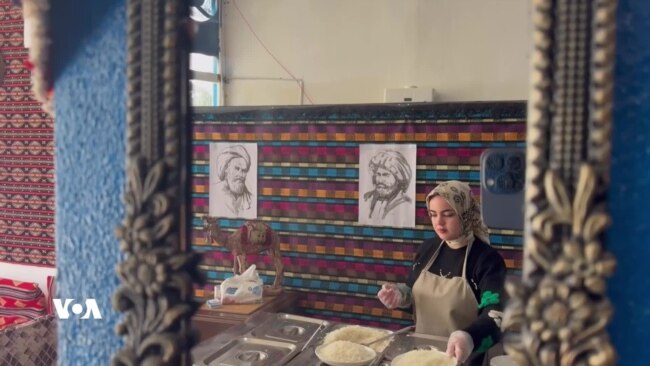 دەرچووانی دانەمەزراو، هەموو ئەو کارانەی دەیکەن دوورە لە پسۆرییەکەی خۆیانەوە