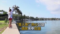 “美人鱼”热心公益，清除水中垃圾 游泳方式特别，四次进入吉尼斯纪录