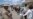 Dominican Republic to Close Border with Haiti Over Canal Dispute