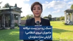 «سگ زرد» و زیست دوگانه ماموران نیروی انتظامی؛ گزارش سارا دماوندان