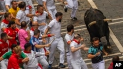 A fighting bull runs among revelers during the San Fermín fiestas in Pamplona, Spain, July 11, 2023. (AP Photo/Alvaro Barrientos)