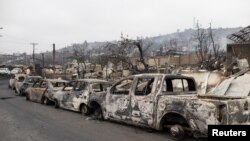 Sejumlah kendaraan yang terbakar akibat kebakaran lahan yang melanda wilayah Vina del Mar, Chile, pada 4 Februari 2024. (Foto: Reuters/Sofia Yanjari)