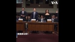 TikTok首席执行官周受资与中共的关系在美国国会再受质询