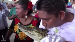 Meksika’da bereket ritüelinde yerel belediye başkanı timsahla evlendi 
