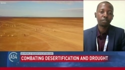 United Nations observes Desertification and Drought Day 2024